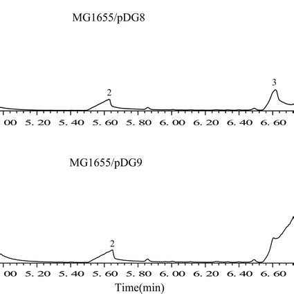how do you feel about the result of paa|Phenylacetic Acid (PAA) .